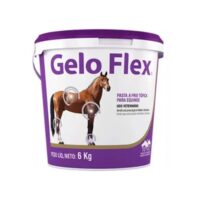 Gelo Flex Balde 6Kg