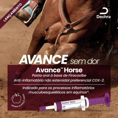 Avance Horse 27,5g