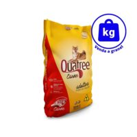 Ração Quatree Gourmet Cães Adultos Todas as Raças Carne a GRANEL