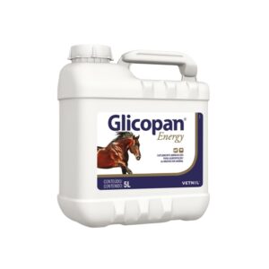 Glicopan Energy 5 Litros